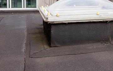 disadvantages of Little Wolford flat roofs